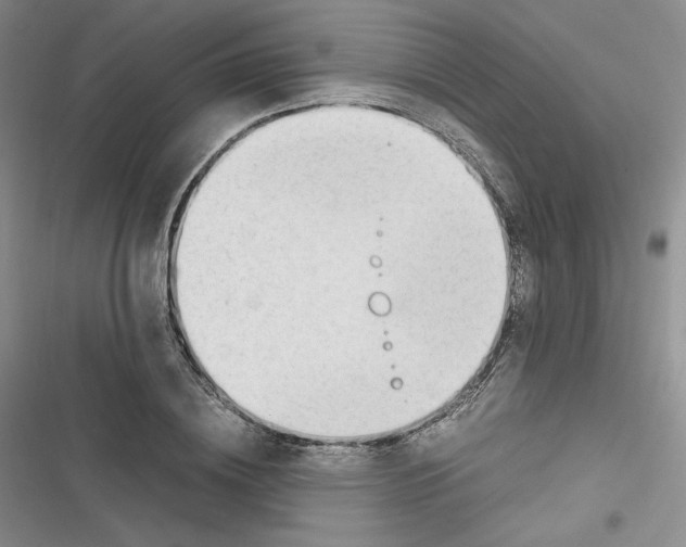 X0000116660836201001111248
