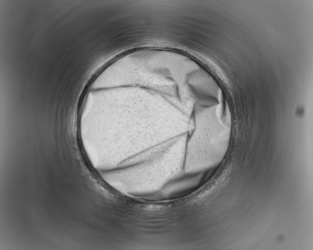 X0000116660839201001111248