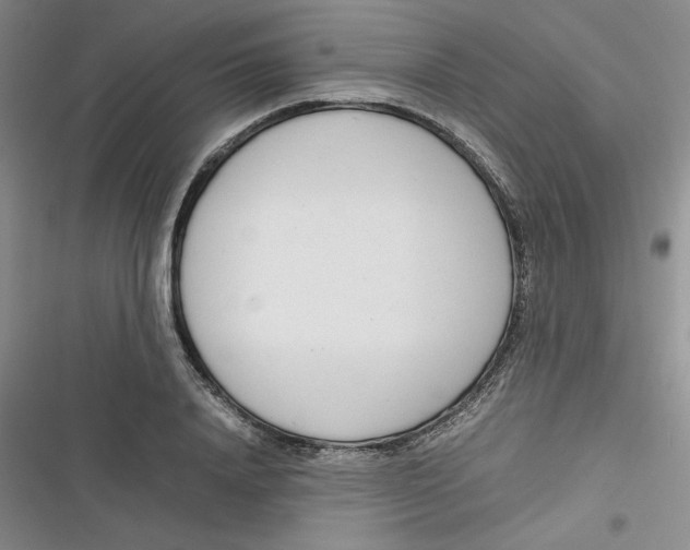 X0000116660840201001111248