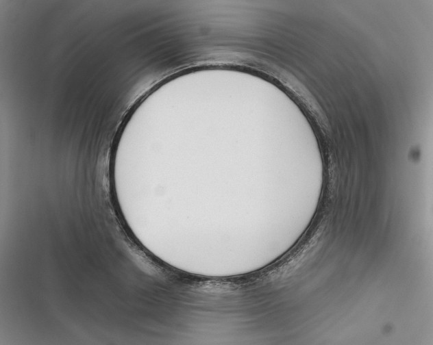 X0000116660842201001111248