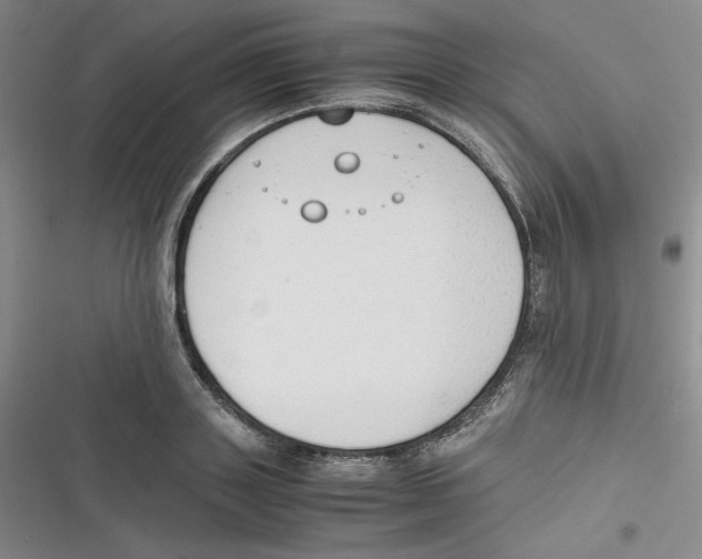 X0000116660843201001111248