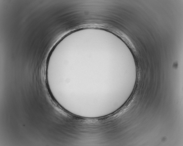 X0000116660844201001111248