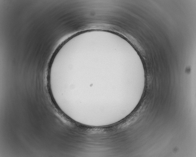X0000116660846201001111248