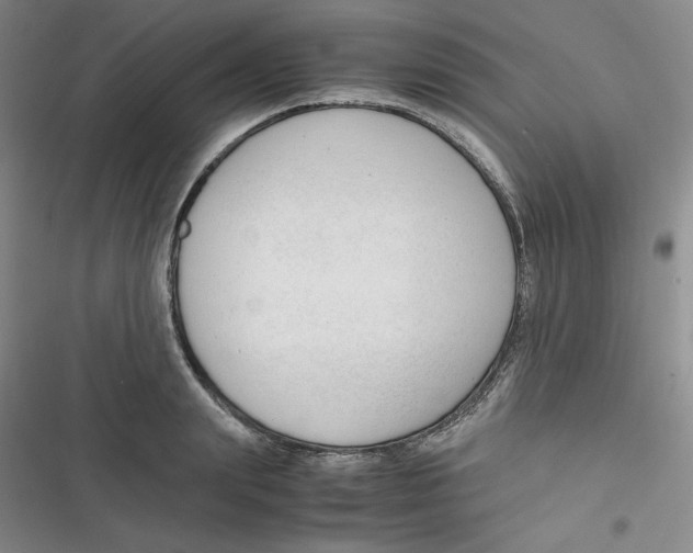 X0000116660847201001111248