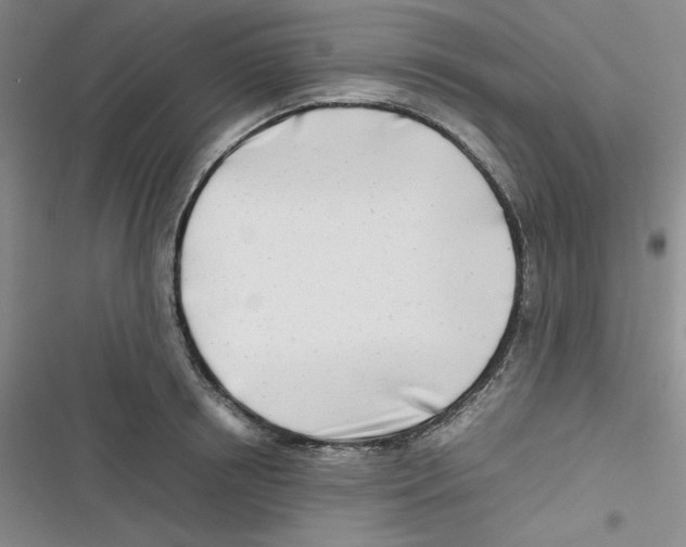 X0000116660850201001111248