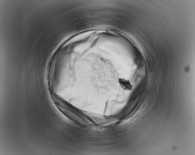 X0000116660851201001111248