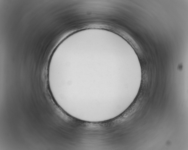 X0000116660852201001111248