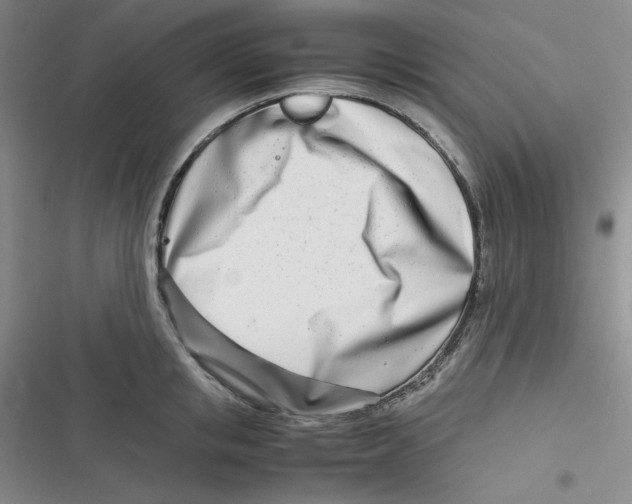 X0000116660853201001111248