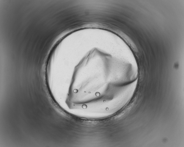 X0000116660854201001111248
