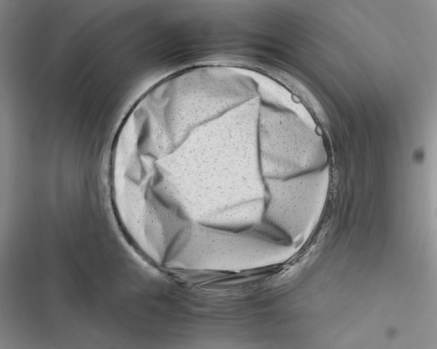 X0000116660855201001111248
