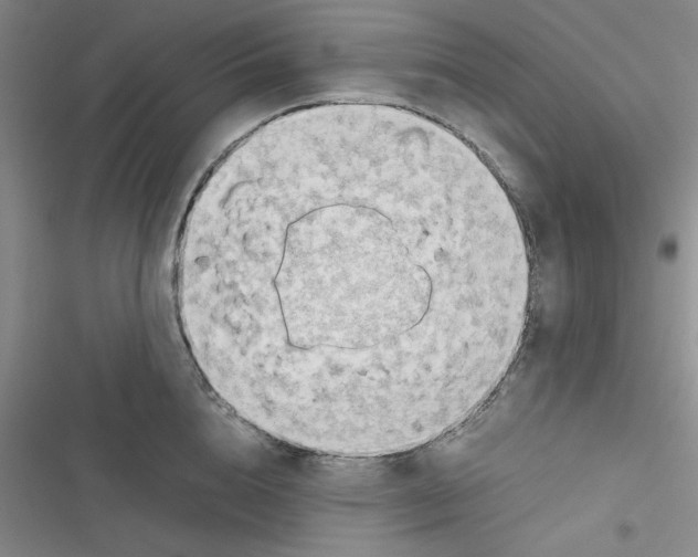 X0000116660856201001111248