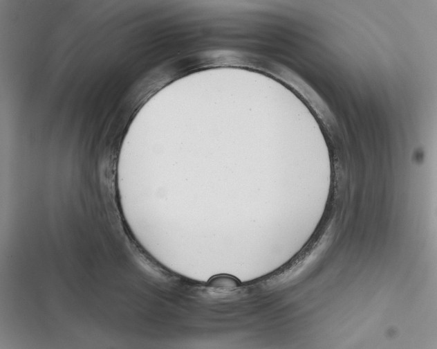 X0000116660857201001111248