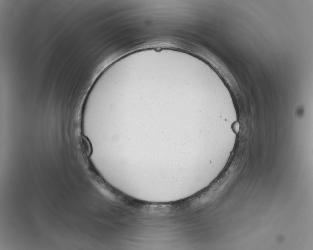 X0000116660858201001111248