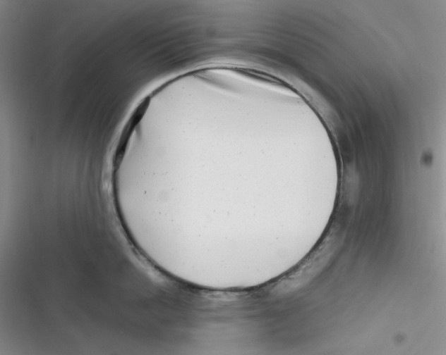 X0000116660862201001111248