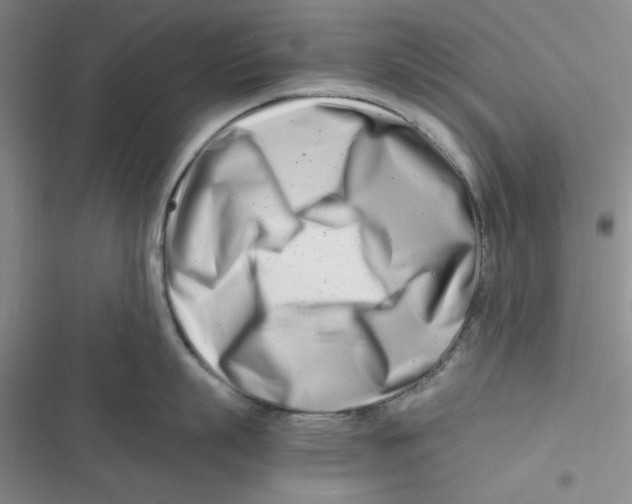 X0000116660863201001111248