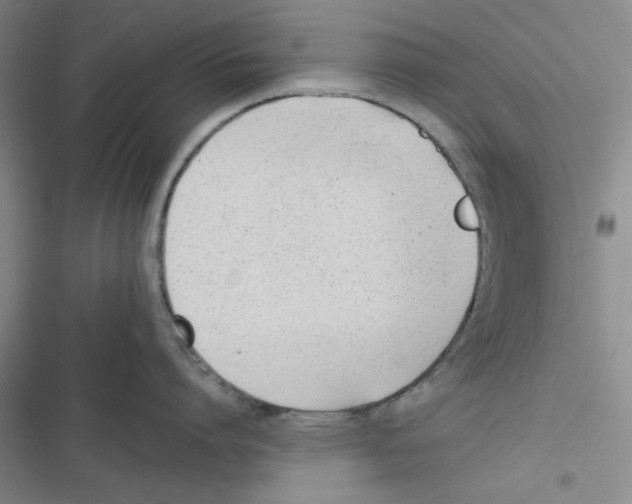 X0000116660864201001111248