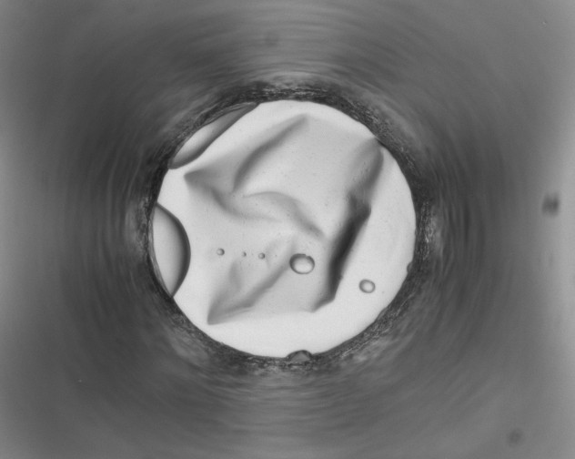 X0000116660868201001111248