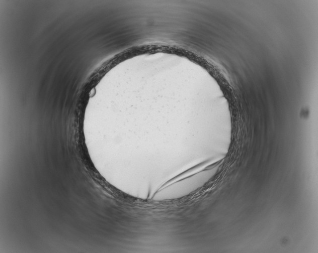 X0000116660872201001111248