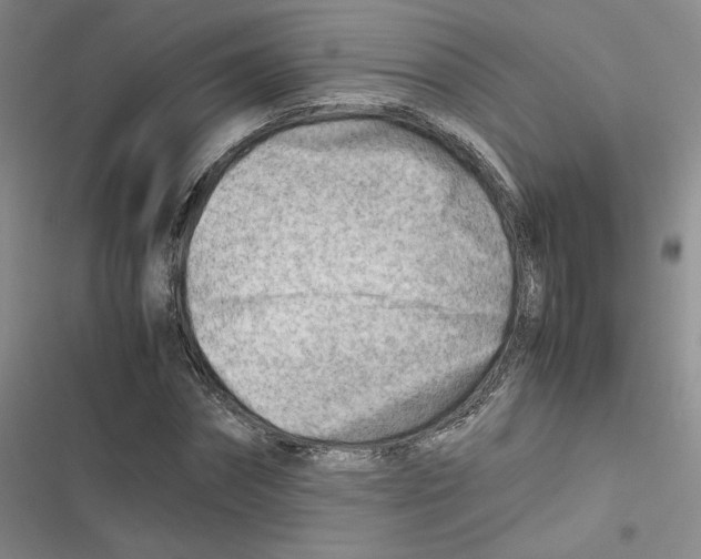 X0000116660874201001111248