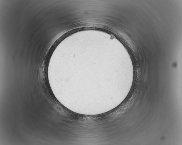 X0000116660875201001111248