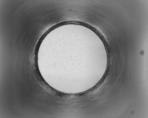X0000116660879201001111248