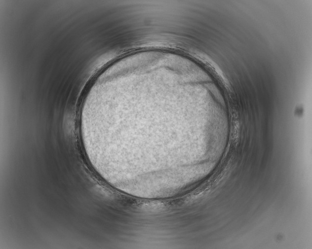 X0000116660882201001111248