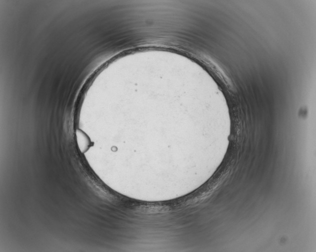 X0000116660884201001111248