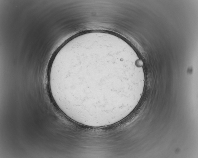 X0000116660885201001111247