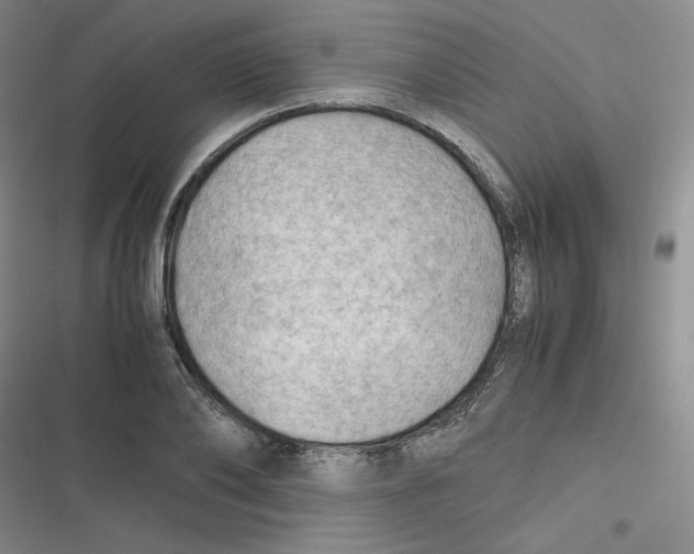 X0000116660886201001111247