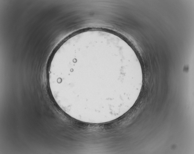 X0000116660887201001111247