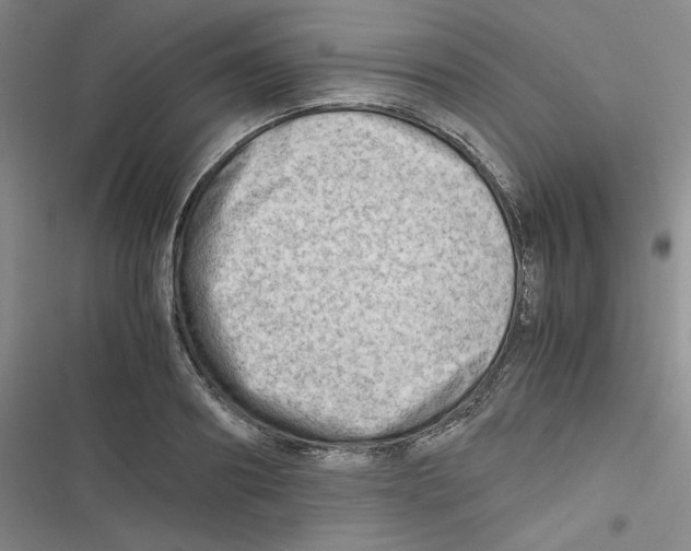 X0000116660890201001111247