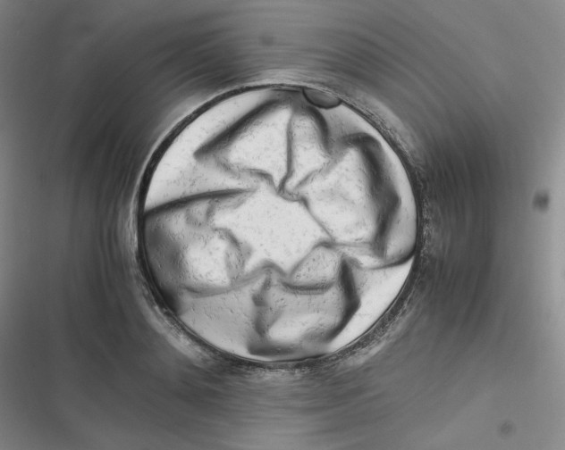 X0000116660892201001111247