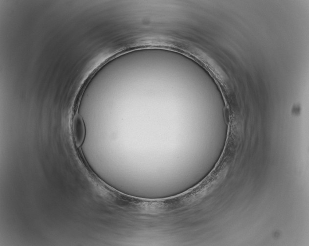 X0000116660893201001111247