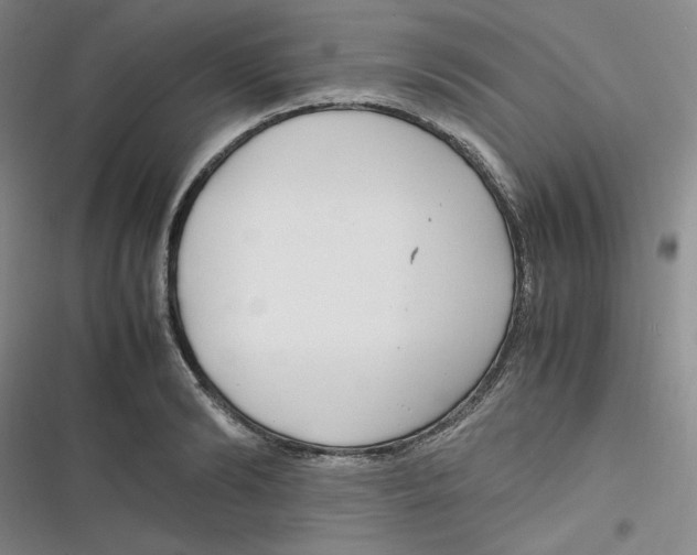 X0000116660894201001111247