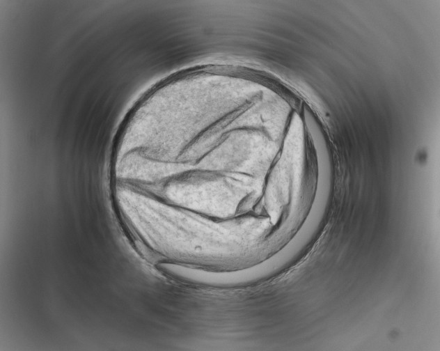X0000116660896201001111247