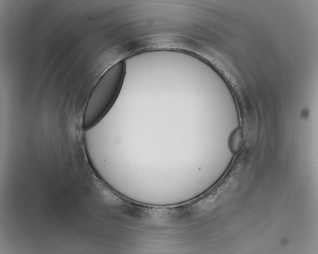 X0000116660897201001111247