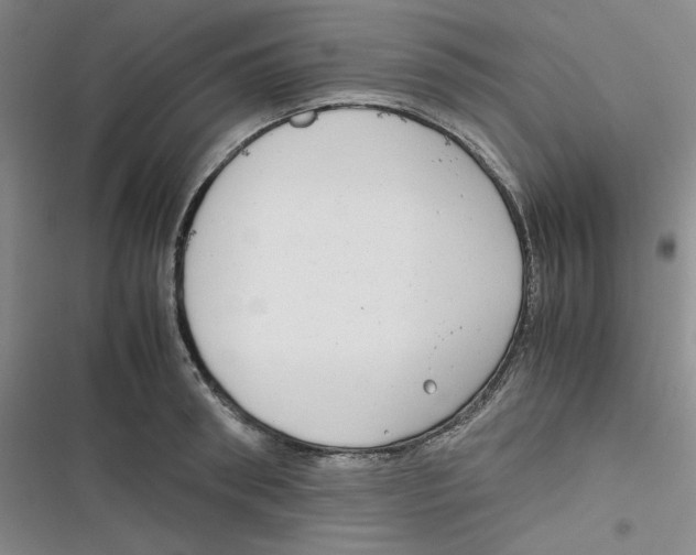 X0000116660898201001111247