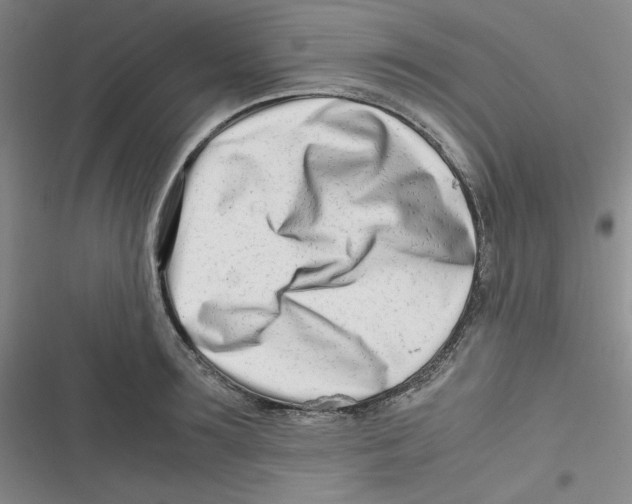 X0000116660899201001111247