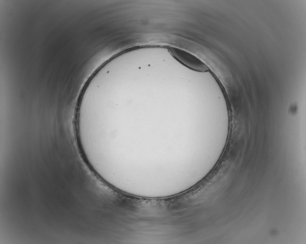 X0000116660901201001111247