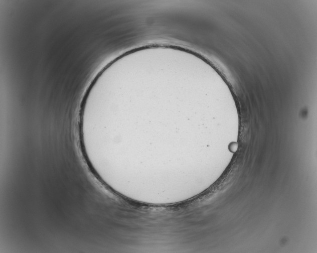 X0000116660903201001111247