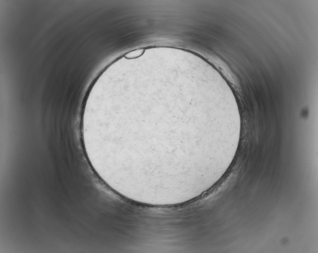X0000116660904201001111247