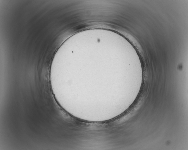 X0000116660905201001111247