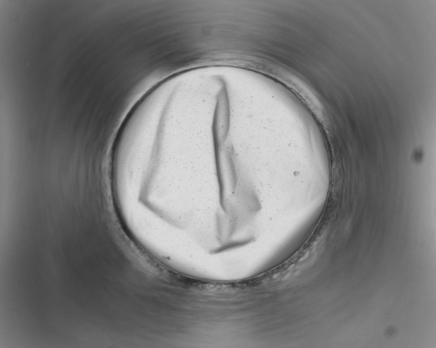 X0000116660907201001111247