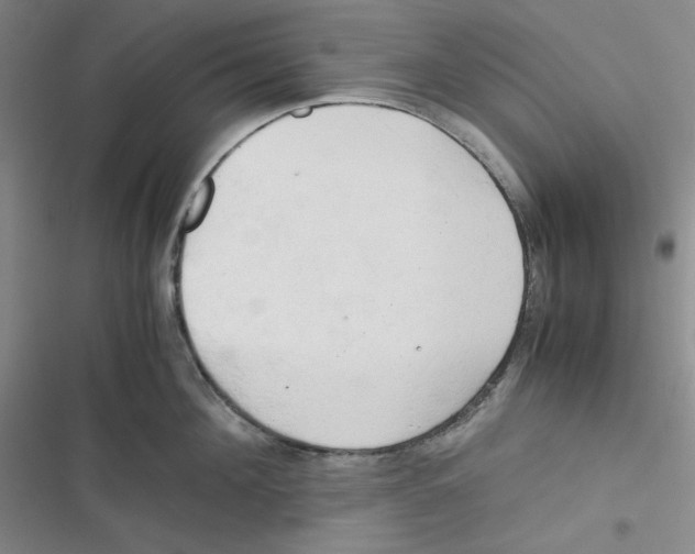 X0000116660908201001111247