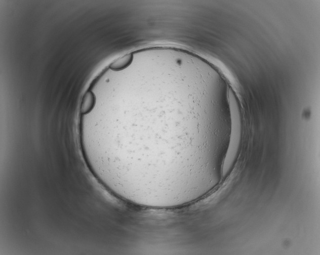 X0000116660910201001111247