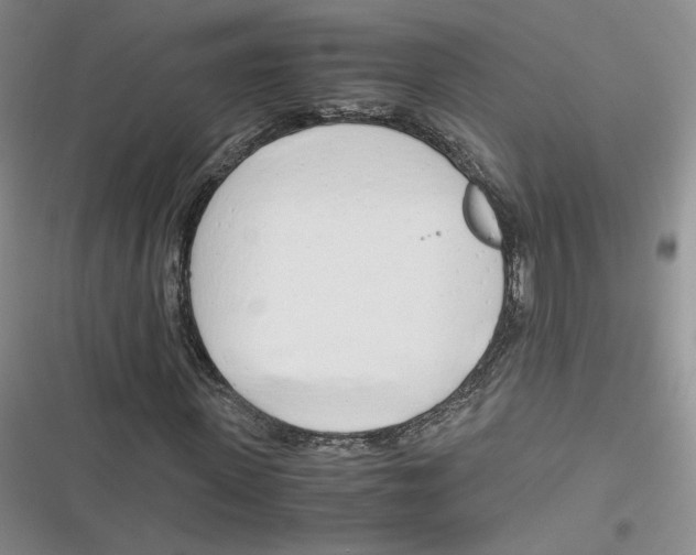 X0000116660915201001111247