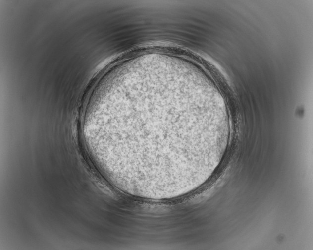 X0000116660921201001111247