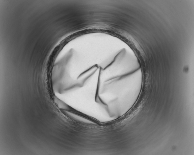 X0000116660923201001111247
