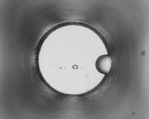 X0000116660926201001111247