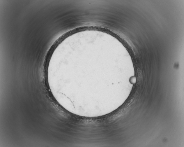 X0000116660927201001111247